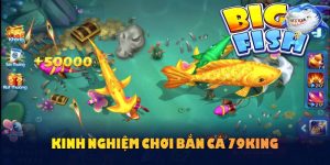 Kinh nghiệm chơi bắn cá
